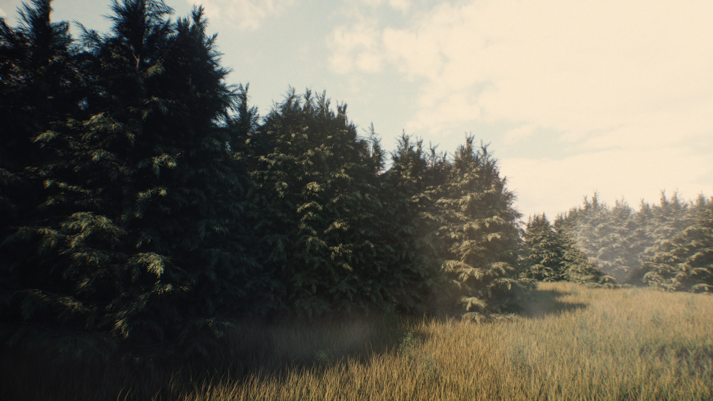 p3_forest_still_2.png