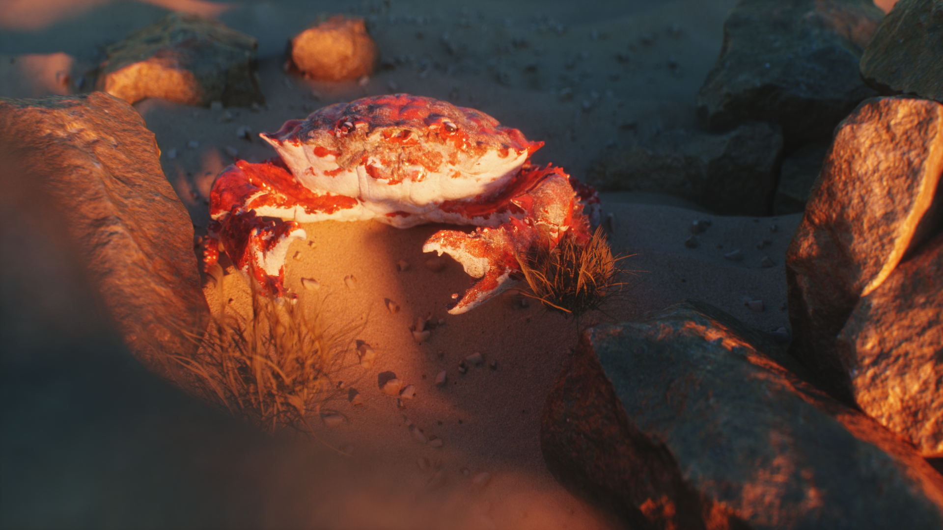 Untitled Project_Crab_MyPrecoius_CC_title_2018-01-16_22.20.13.png