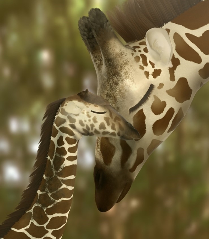 giraffe final 1.jpg